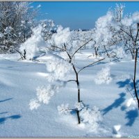 Снег искрится :: Андрей Заломленков