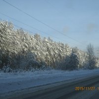 В НОВОСИБИРСКЕ :: ОКСАНА ЮРЬЕВНА ШВЕЦ