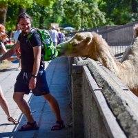 Сфотографировали?А теперь рассчитывайтесь!))) :: ALLA Melnik 