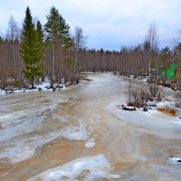 Ноябрь слезы распускает.. :: Елена Третьякова