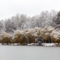 First frosty day :: Sergey Sergaj