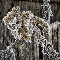 Фактурность :: Вадим Лячиков