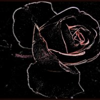 Очертания розы :: Нина Корешкова