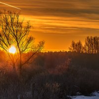 Рождение... :: олег 