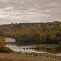 *** :: Сергей Котусов