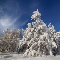 Зима. :: Виктор Гришенков