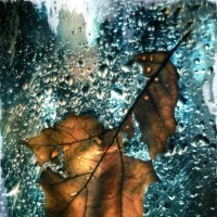 Дождь :: Ирина Сивовол