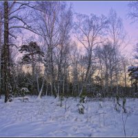 Декабрь.Вечер. :: Владимир Холодный