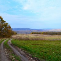 Лесная дорога :: Виктор Шандыбин