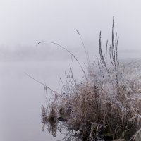 Влтава в утреннем тумане :: Lana Kasiková