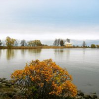 Осень в Нижнем парке. :: Лия ☼