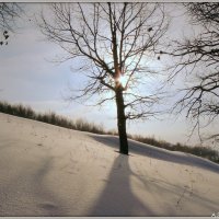 Снега... :: Андрей Заломленков