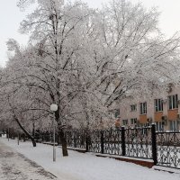 Пришла зима :: Олег Манаенков