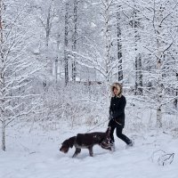 Зима в Молочном :: Валерий Талашов