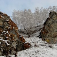 Скалы защищают березы :: Tatiana Lesnykh Лесных