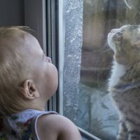 кот и ребенок :: Галина 