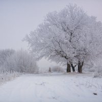 *** :: Николай Алехин