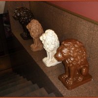 Музей шоколада :: Вера 