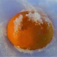 Апельсин на снегу :: Сергей Чиняев 