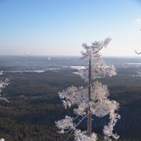 Прогулка по Егозе :: Борис Емельянычев