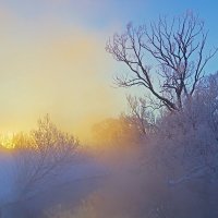 Солнце в тумане. :: Анатолий Круглов