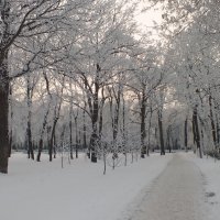 городской парк :: Ирина ***