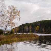 Осень :: Евгений Ломко