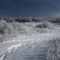 Таинственными тропами к нам Новый Год идёт... :: Александр Попов