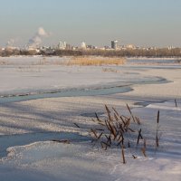 где-то за городом. :: Roman 