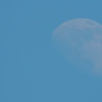 Луна :: Юлия Никитенко