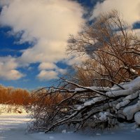 *** :: Владимир Артюхов