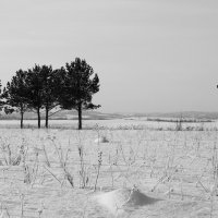 Зима :: Радмир Арсеньев