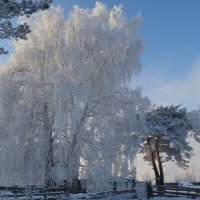 На пороге Рождества :: Владимир Звягин