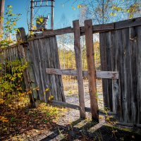 Забор в осень :: Наталья Сергеевна