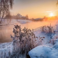 Морозное утро :: Александр Тарасевич