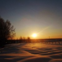 Холодное солнце января :: Николай Туркин 
