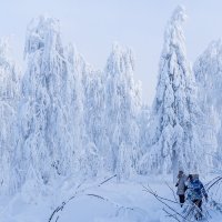 В Каменном городе :: Иван Рочев