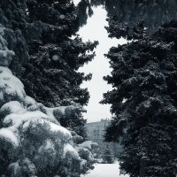 Тропинка в зиму :: Alexander Varykhanov