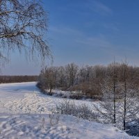 Ясный  день. :: Валера39 Василевский.