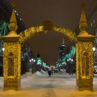 Золотые ворота на Кировку :: Мария Кухта