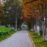 Осень в городе. :: Koch 