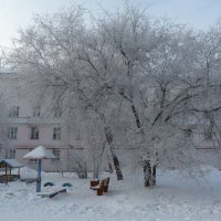 Зима в городе :: Галина Минчук