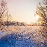 Зима :: Ирина Никифорова