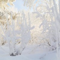 Зимняя сказка. :: Алексей. Бордовский