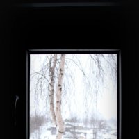 Окно в зиму! :: Анастасия Степанова