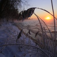 Морозный январь 2016го :: Юрий Клишин