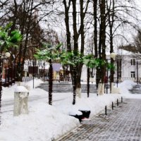 Снег и пальмы :: Владимир Болдырев