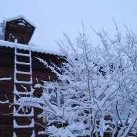 Со Старым Новым годом, друзья! :: Галина Медведева