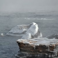Скалы -"тюлени" :: Raisa Ivanova