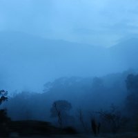 Синий туман :: Андрей 